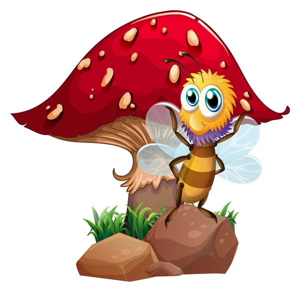 A bee standing at the rock with a mushroom at the back — Stock Vector