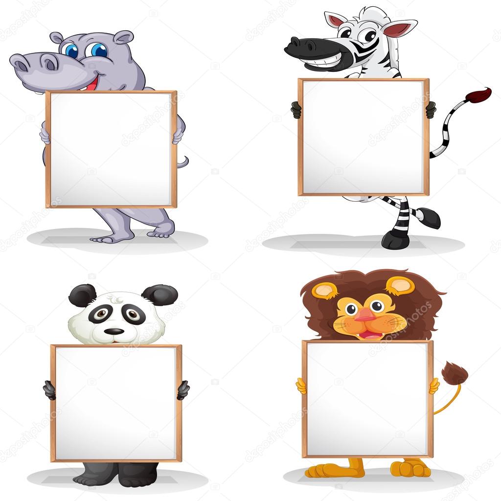 Four different animals with empty whiteboards