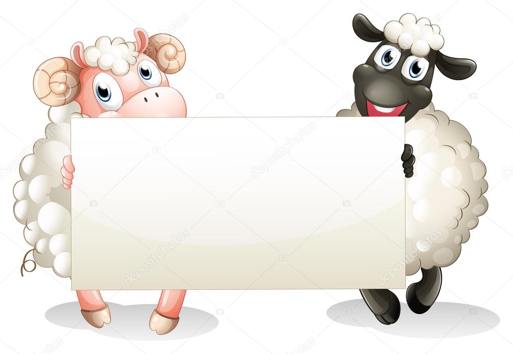 Two sheeps holding an empty banner