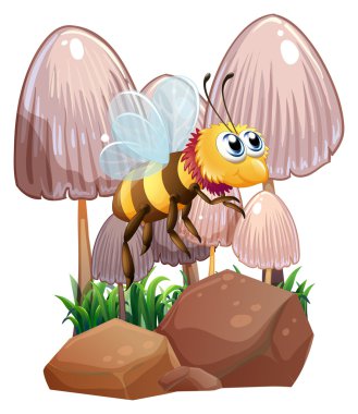 bir arı mantar ve kayalar