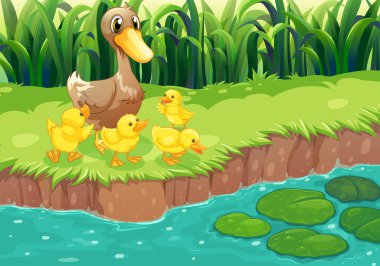 onun ducklings nehirde anne ördeği