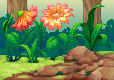 Giant flowers in the forest