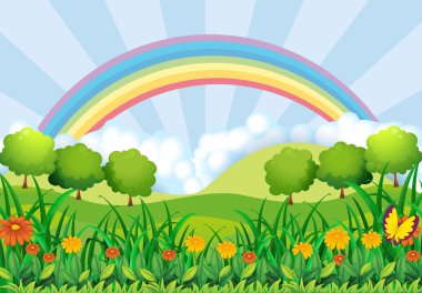 The field and the rainbow vector The field and the rainbow vector