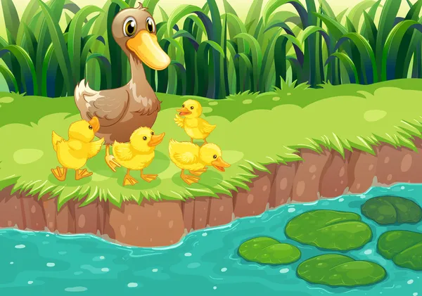 Una madre pato con sus patitos en el río — Vector de stock