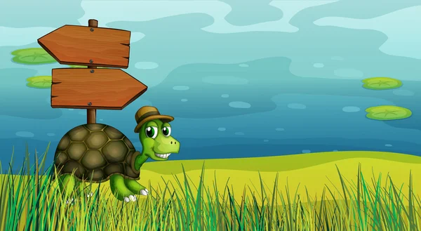 Želva poblíž dřevěný šíp desky — Stockový vektor