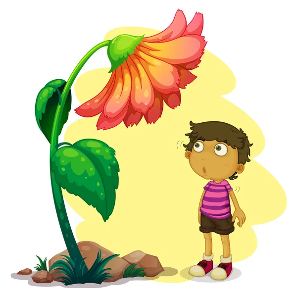 Um menino olhando para a flor gigante — Vetor de Stock
