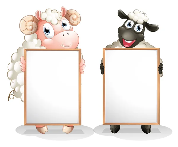 Two sheeps with empty boards — Stock Vector