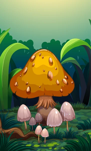 Paddestoelen in het bos — Stockvector