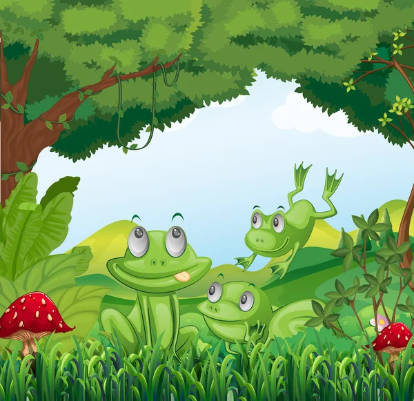 Three frogs at the forest — Stock Vector