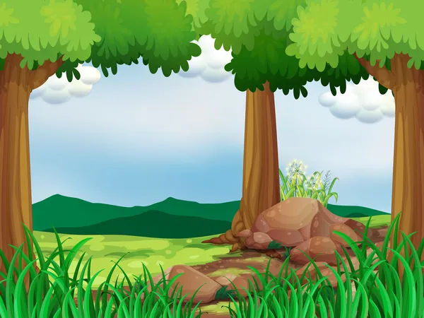 Une forêt verte avec des rochers — Image vectorielle