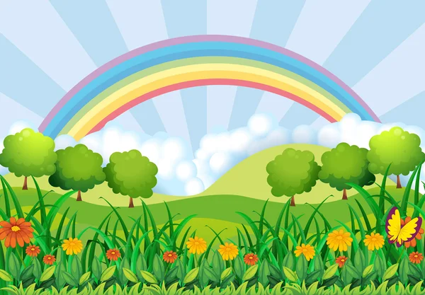 El campo y el arco iris — Vector de stock
