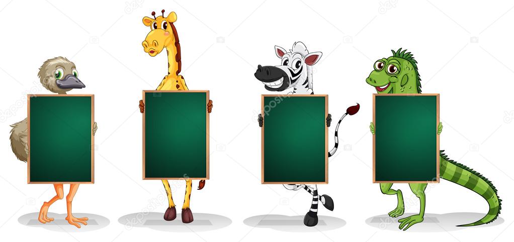 Four animals standing with empty boards
