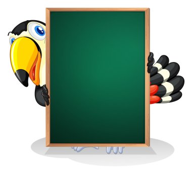 boş bir çerçeveli Pano tutan bir tucan