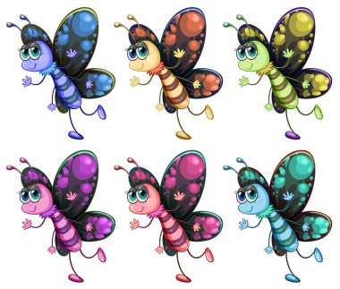 altı renkli kelebekler