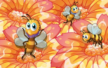 Üç Arı yiyecek toplama