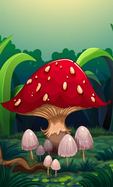 Un grand champignon rouge — Image vectorielle