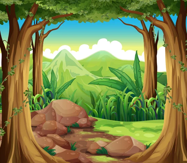 Rocas en el bosque — Vector de stock