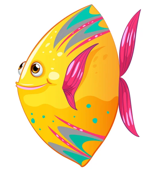 A big colorful fish — Wektor stockowy