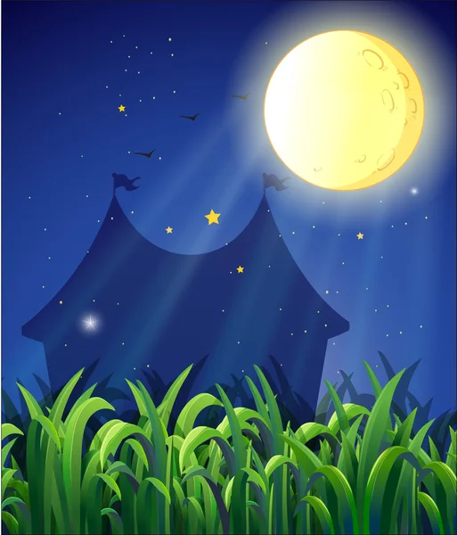 The carnival at night — Stock Vector