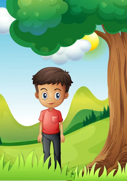 A boy under the shade of a big tree — Stock Vector