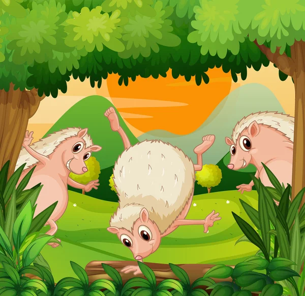 Three hedgehogs playing in the woods — Stock Vector