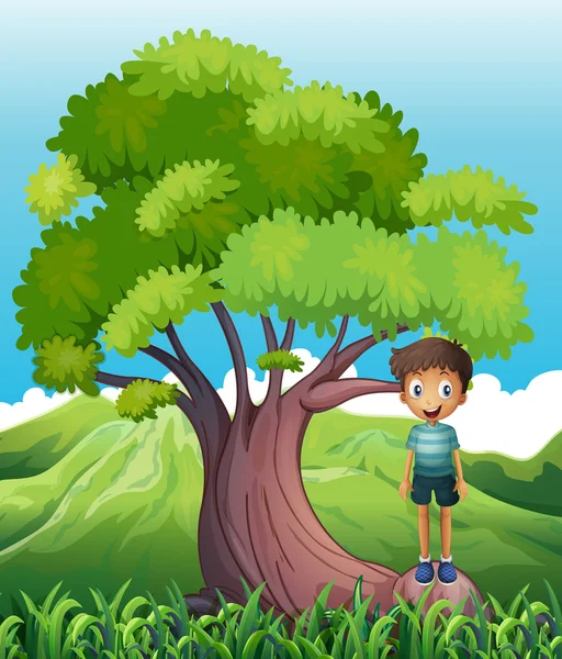 A boy standing on a root of a tree — Stock Vector