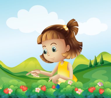 küçük bir kız çilek Farm