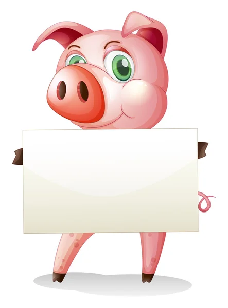 A fat pig holding an empty signboard — Stock Vector