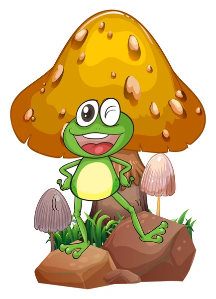 En leende groda nära giant mushroom — Stock vektor