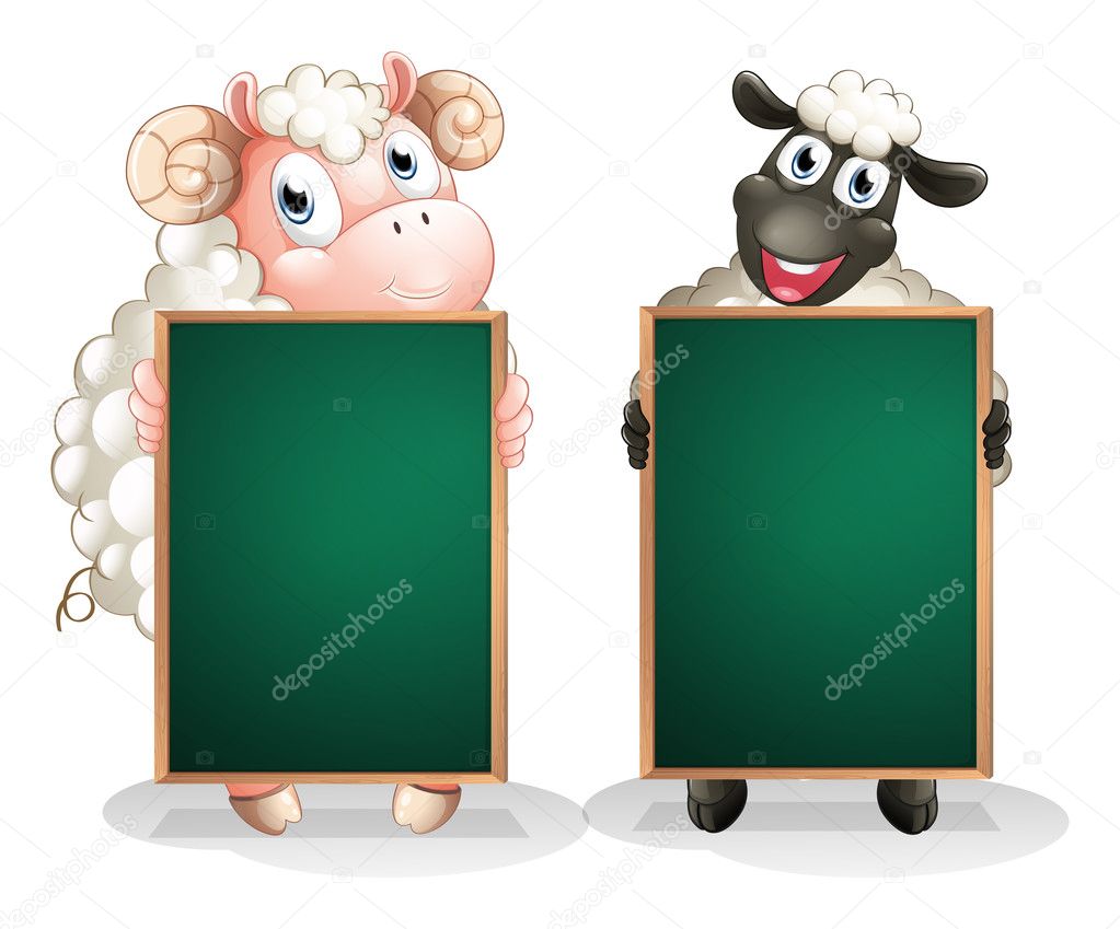 A black and a white sheep with empty blackboards
