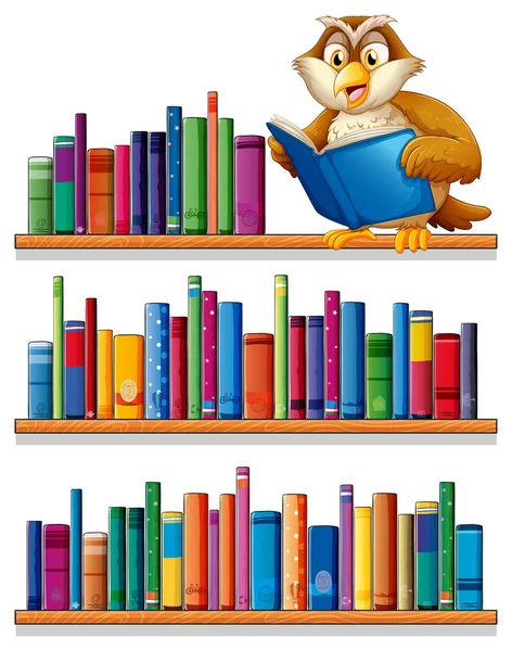 An owl above the wooden bookshelves with books — Stock Vector