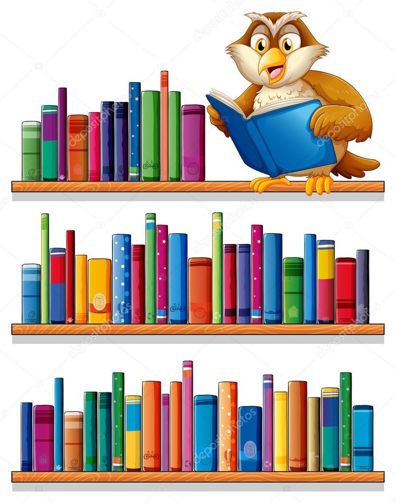 1 1 Bookshelves Vector Images Free Royalty Free Bookshelves Vectors Depositphotos 1 1 Bookshelves Vector Images Free Royalty Free Bookshelves Vectors Depositphotos