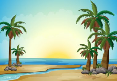 Sahilde palmiye ağaçları