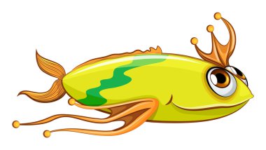 renkli büyük bir balık