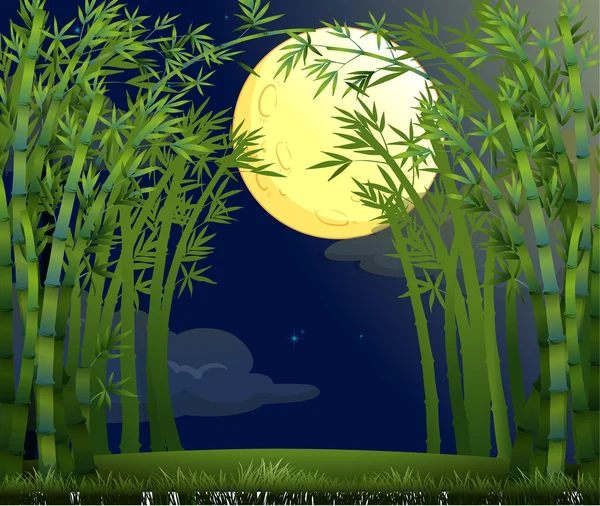 A rainforest under the bright moon — Stock Vector