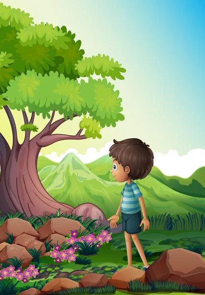 Мальчик возле гигантского дерева в лесу — стоковый вектор