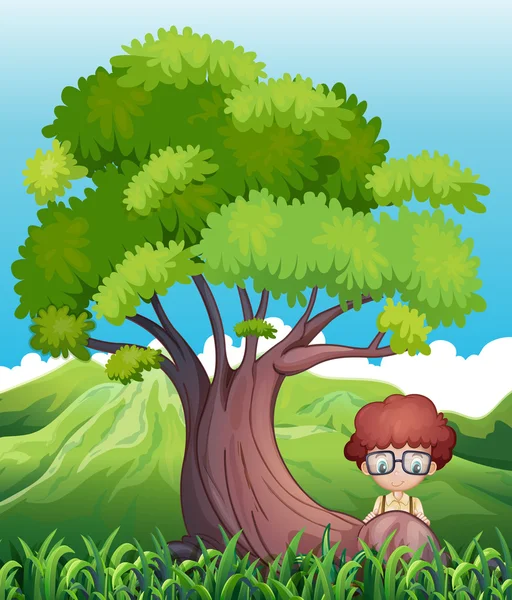 巨树的根部附近的一个小男孩 — 图库矢量图片
