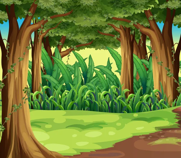 Árboles gigantes en el bosque — Vector de stock