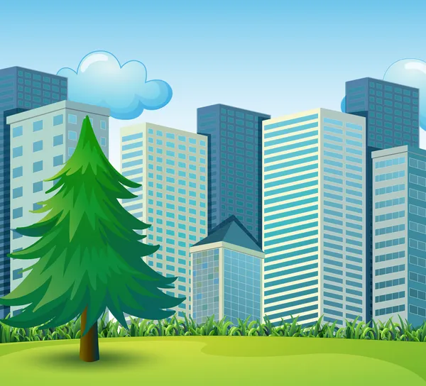 A big pine tree growing near the tall buildings — Stock Vector
