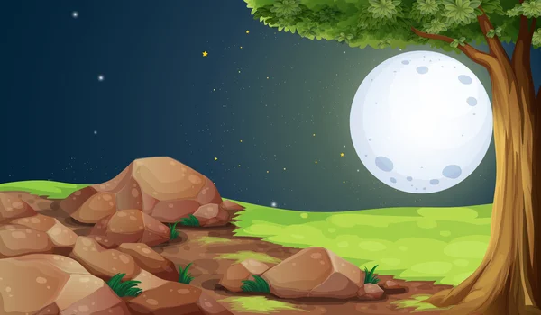 Скелястий ліс під яскравим повним місяцем — стоковий вектор
