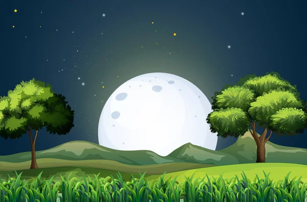 A view of the forest in the middle of the night — Stock Vector
