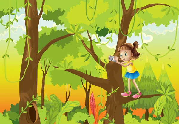 En flicka som står på grenen av ett träd med en kamera — Stock vektor