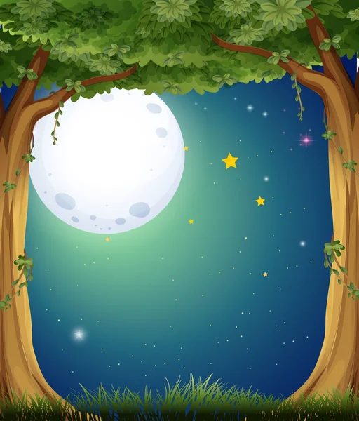 Una foresta e la luna luminosa — Vettoriale Stock