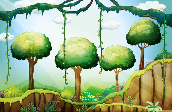 Деревья в лесу под лучами солнца
