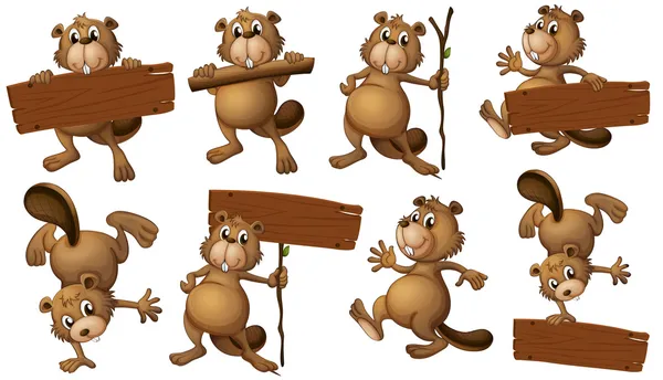 A group of playful beavers with empty signboards — Stock Vector