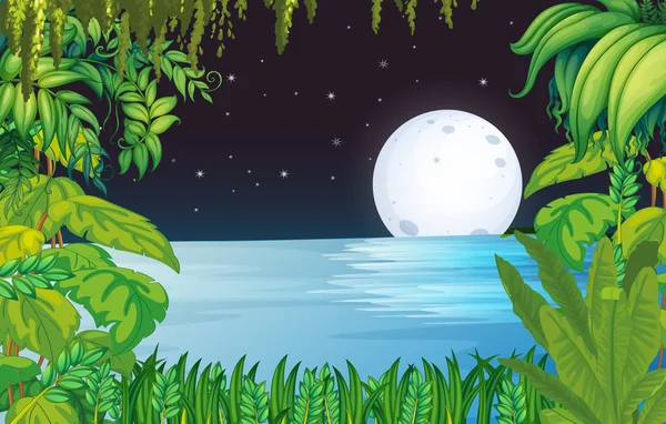 Un lago en el bosque bajo la luna llena brillante — Vector de stock