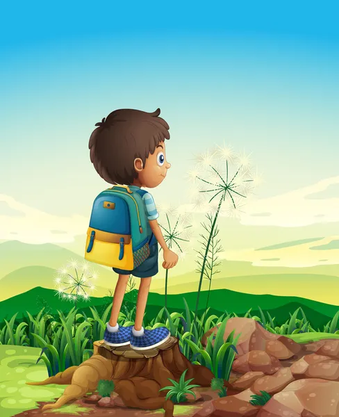 A boy with a backpack standing above a stump — Stock Illustration A boy with a backpack standing above a stump Royalty Free Stock Vectors