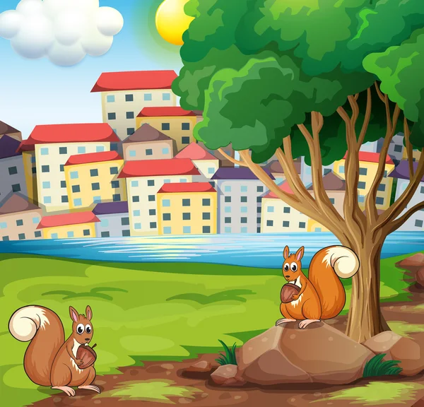 Due scoiattoli sulla riva del fiume attraverso il villaggio — Vettoriale Stock