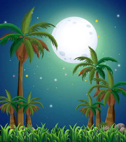 A view of the forest under the bright fullmoon — Stock Vector