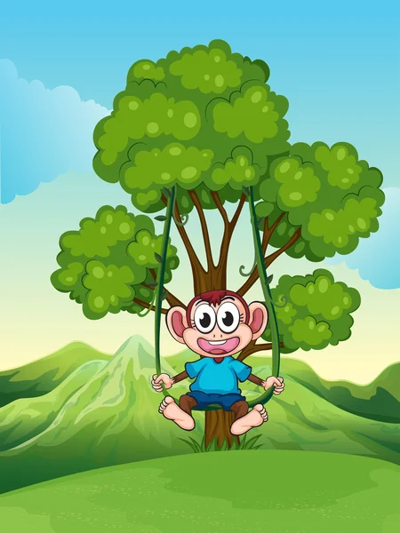 bir ağaç bir maymunla oynamayı